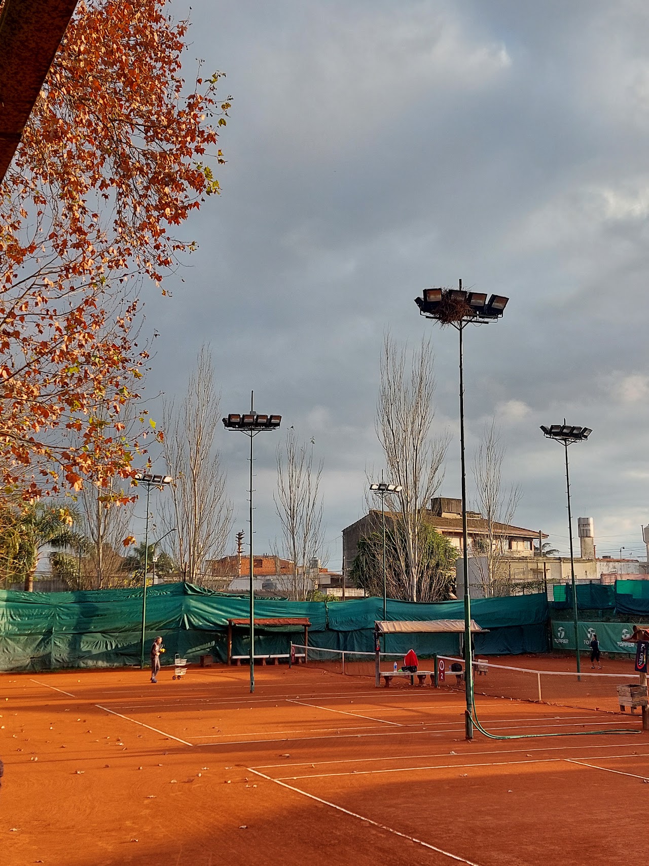Canchas de Kauri Club al atardecer